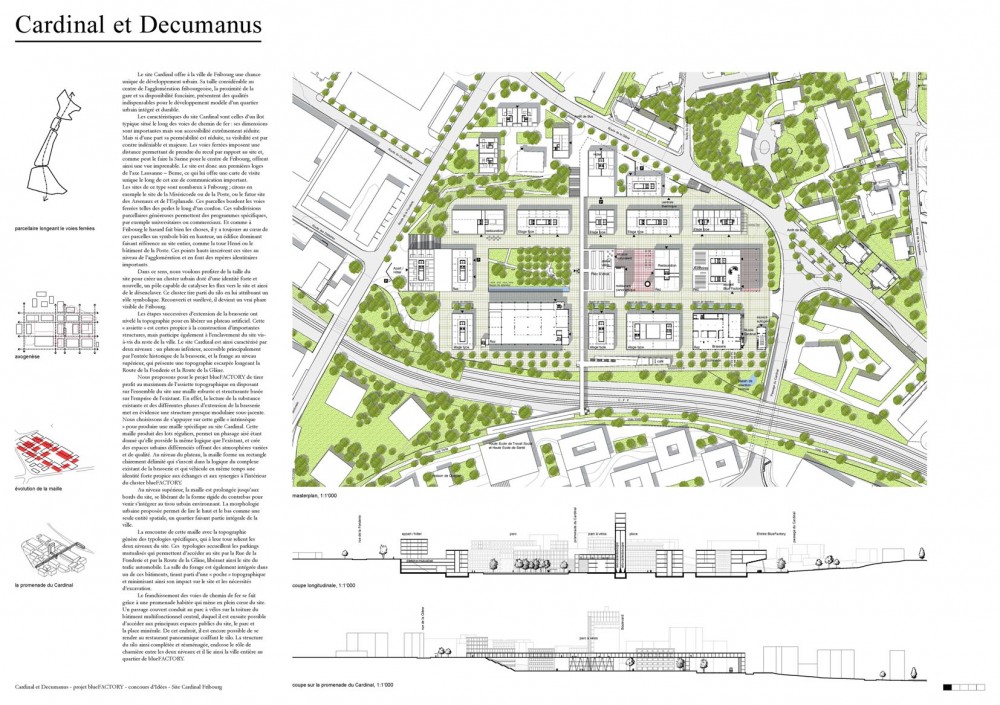 5a_Cardinal et Decumanus