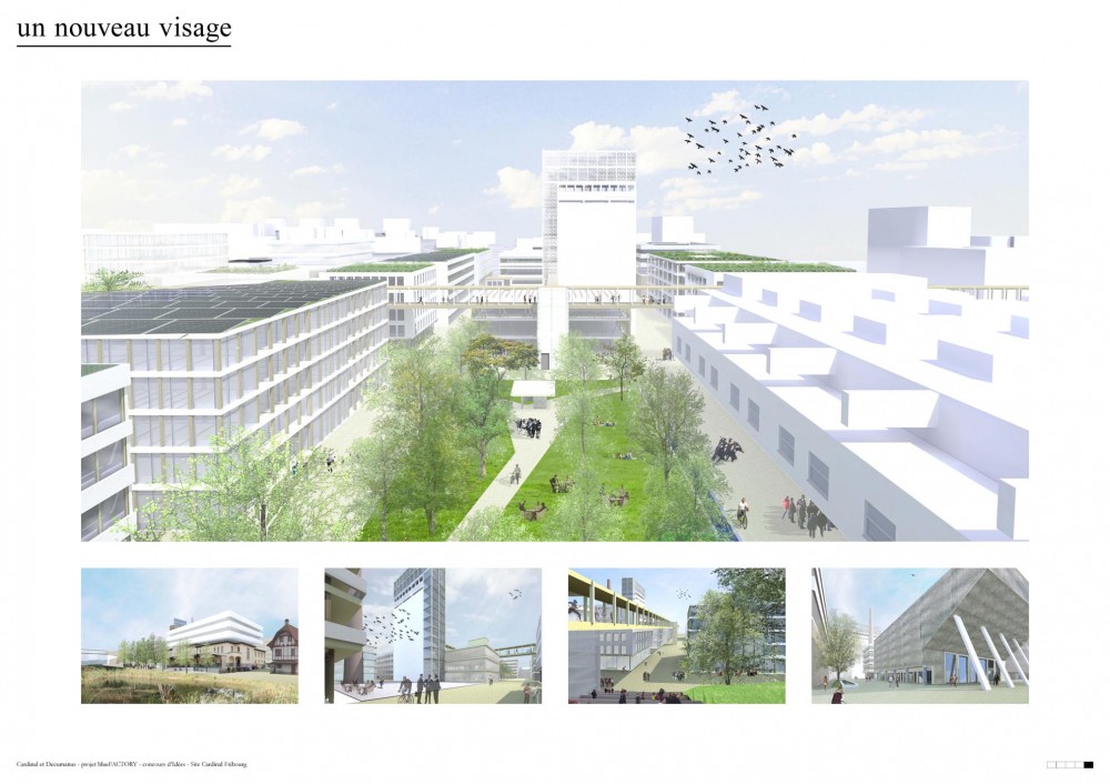 5d_Cardinal et Decumanus