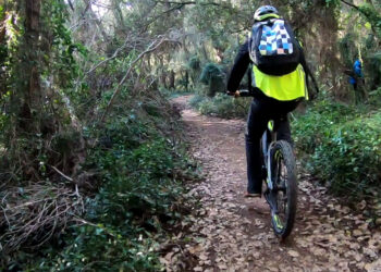 Citec Mobilites actives Reseau Express Velo Sophia Antipolis