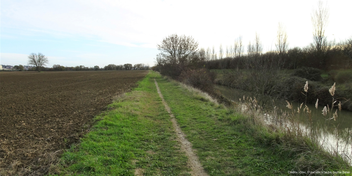 Citec_mobilites_actives_schema_cyclable_Balma_2