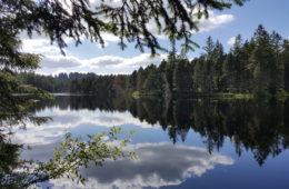 Crédits : R.Broquet