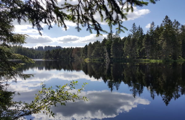 Crédits : R.Broquet