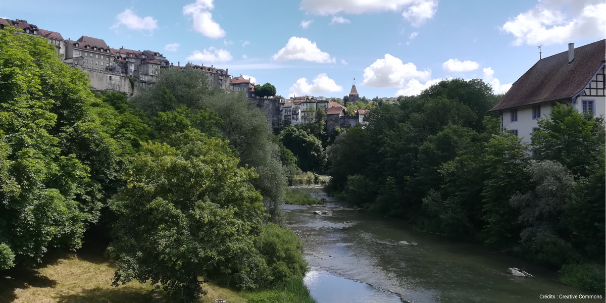 Citec_Fribourg_Carrefour_à_feux_Beaumont_régulation_trafic_1