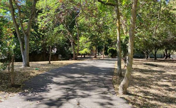 1-mobilita-sostenibile-follonica-246875.660x368