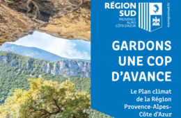 Citec_Neutralité carbone _quelles mesures de mobilité sont les plus efficaces (1)