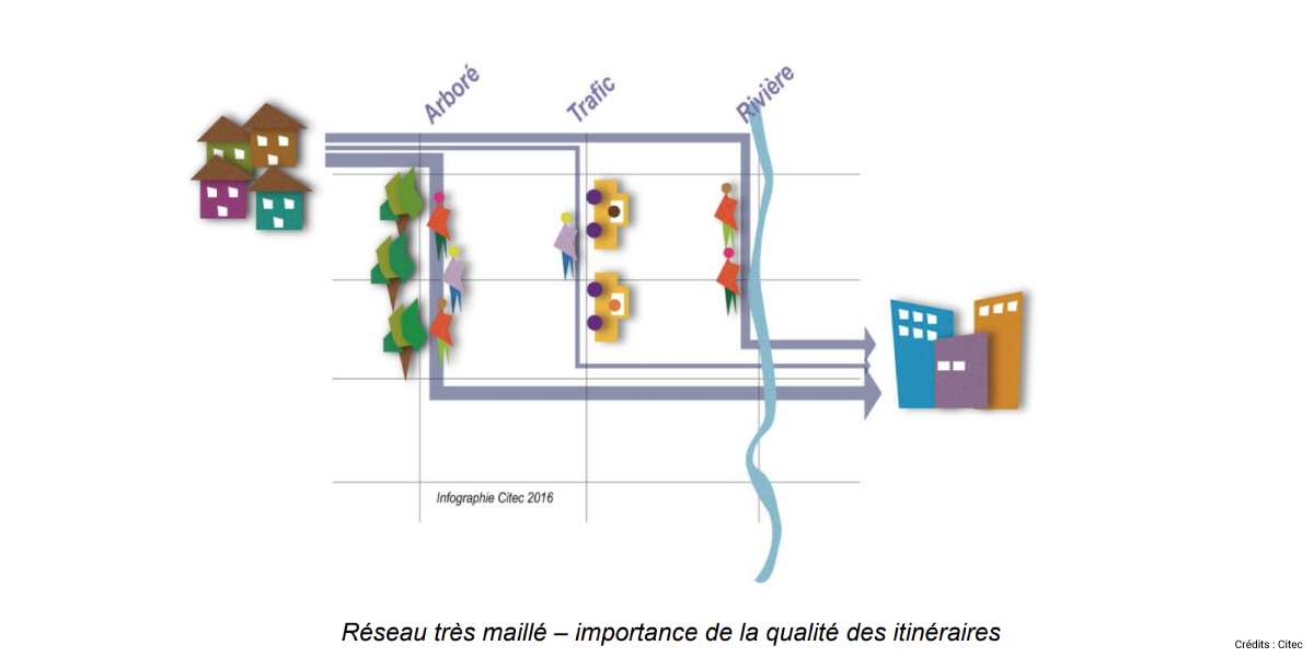 14114.0-Mandat-SVI-modélisation-circulation-cycle-pieton-Citec