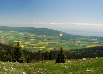 24105.0-Citec-Sécurité-tunnel-excavation-neuchatel-vue-des-alpes